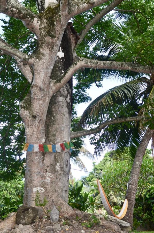 ホテル Fare Om Pihaena エクステリア 写真